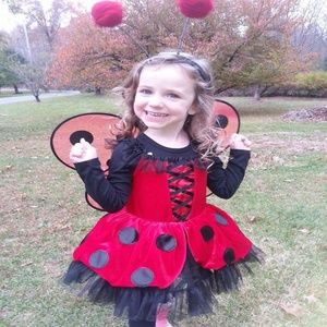 Ladybug Red Polka Dot Tulle Tutu Halloween Costume